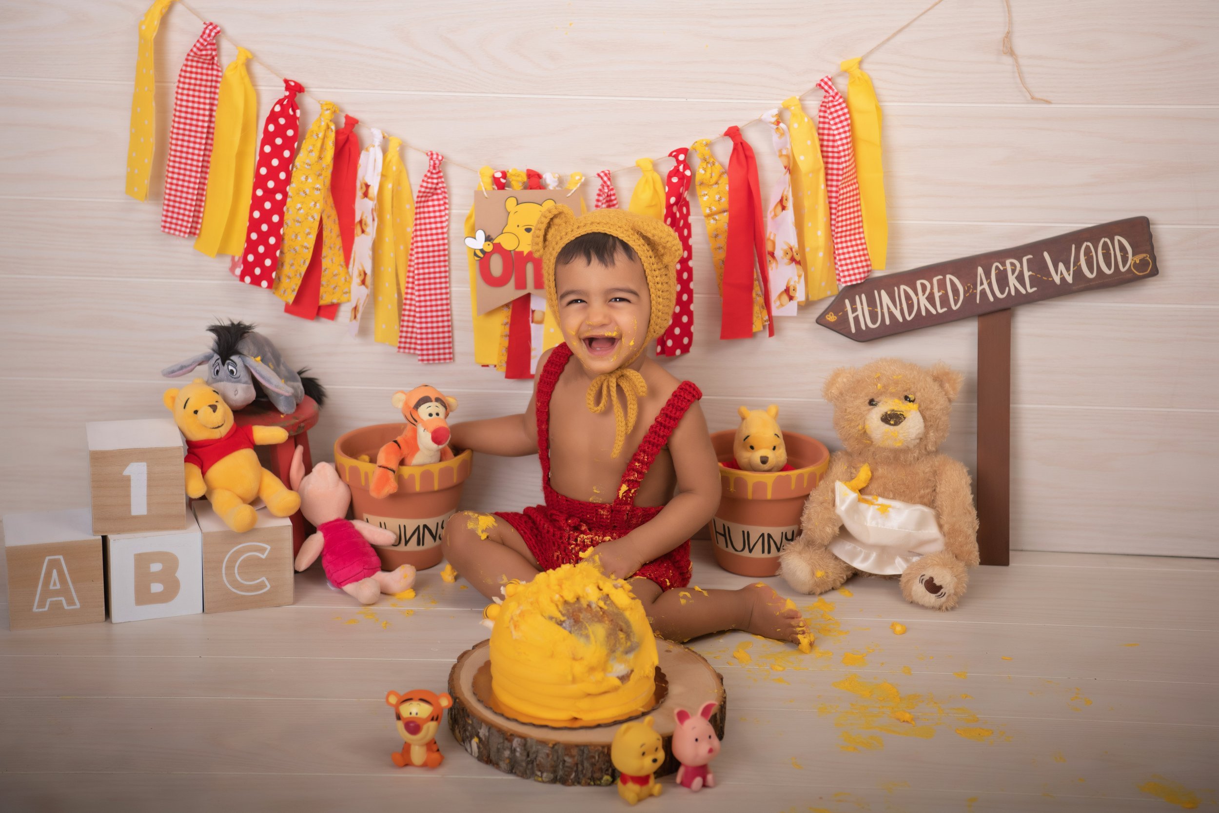 Chattanooga Smash Cake and first birthday portrait 12