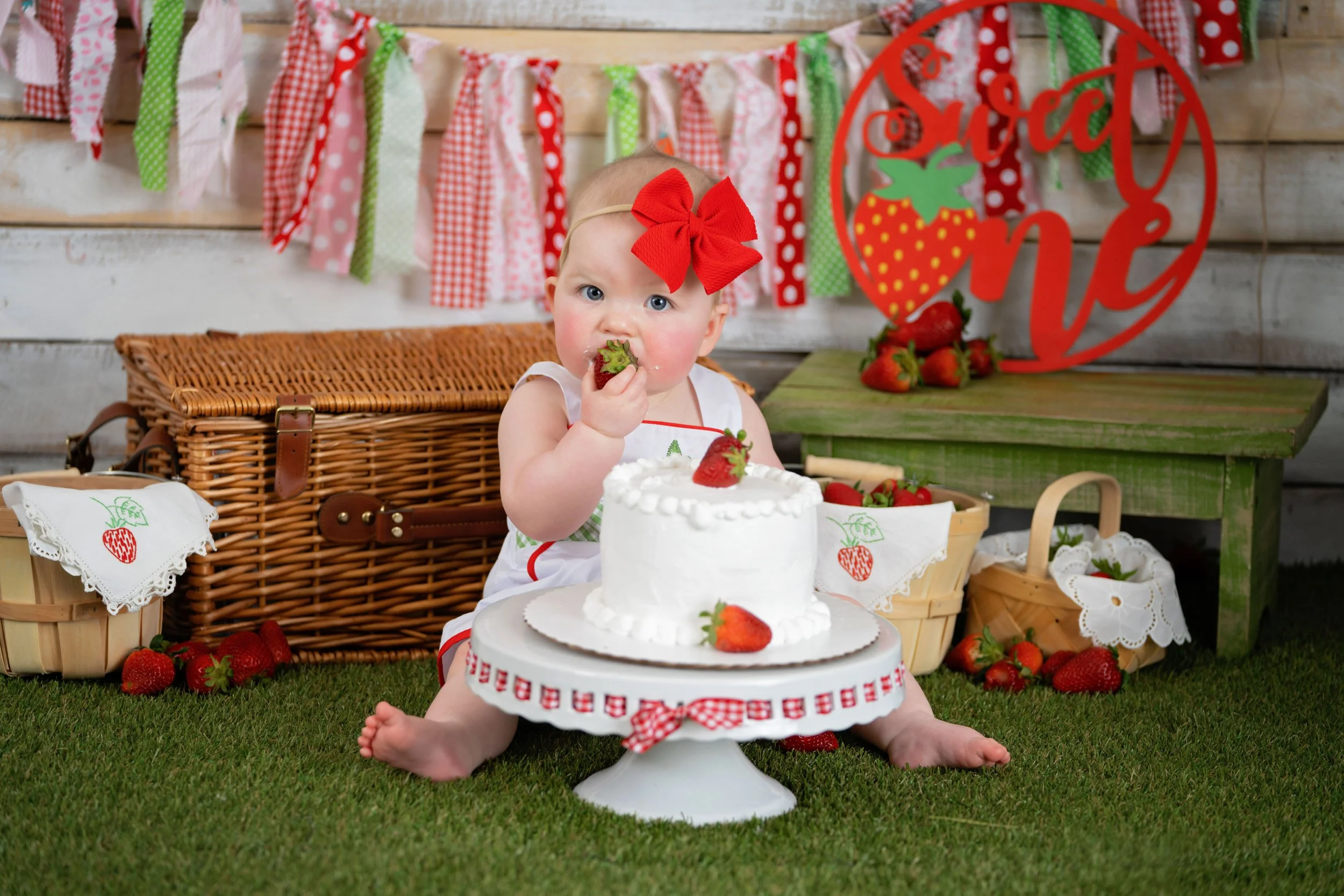 Chattanooga Smash Cake and first birthday portrait 17