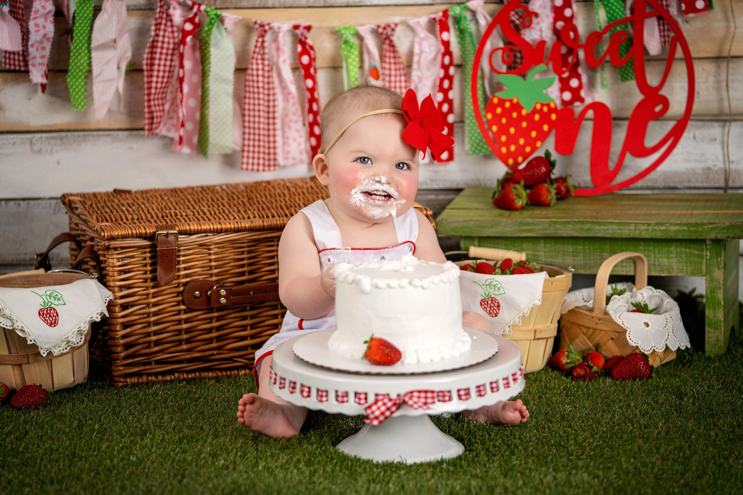 Chattanooga Smash Cake and first birthday portrait 16