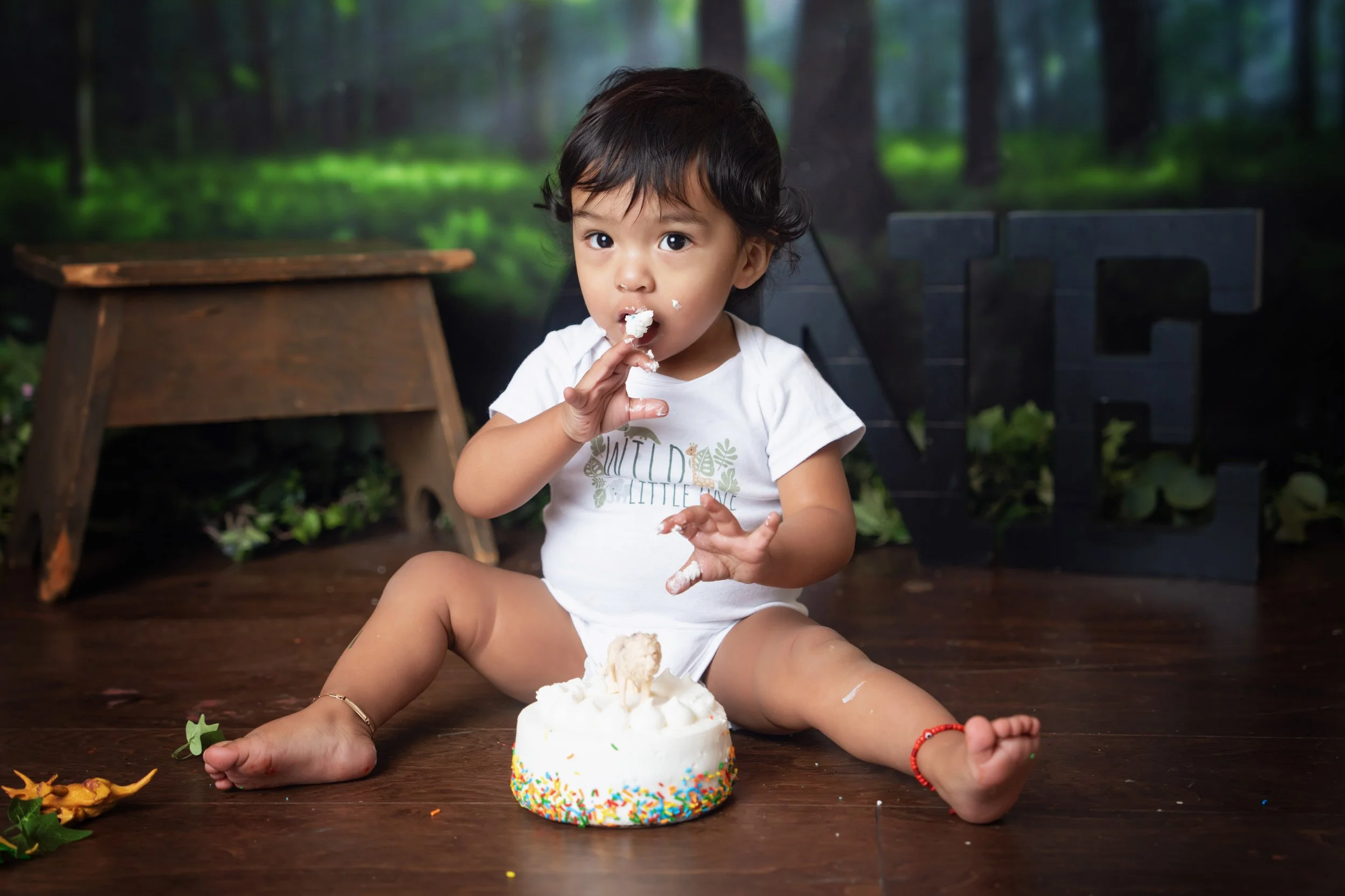 Chattanooga Smash Cake and first birthday portrait 30