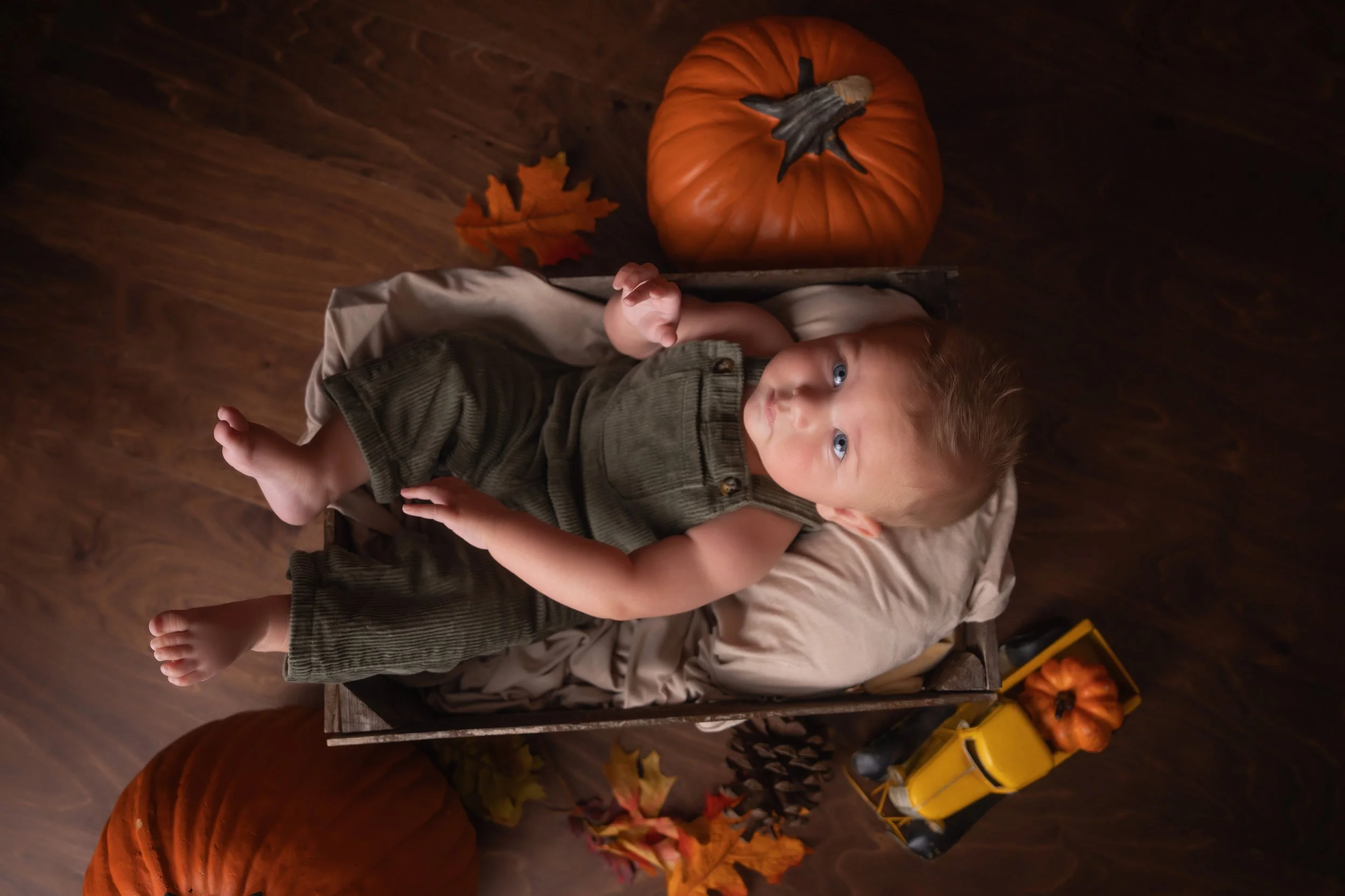 Pumpkin Patch portrait by Matt and Shea Photography