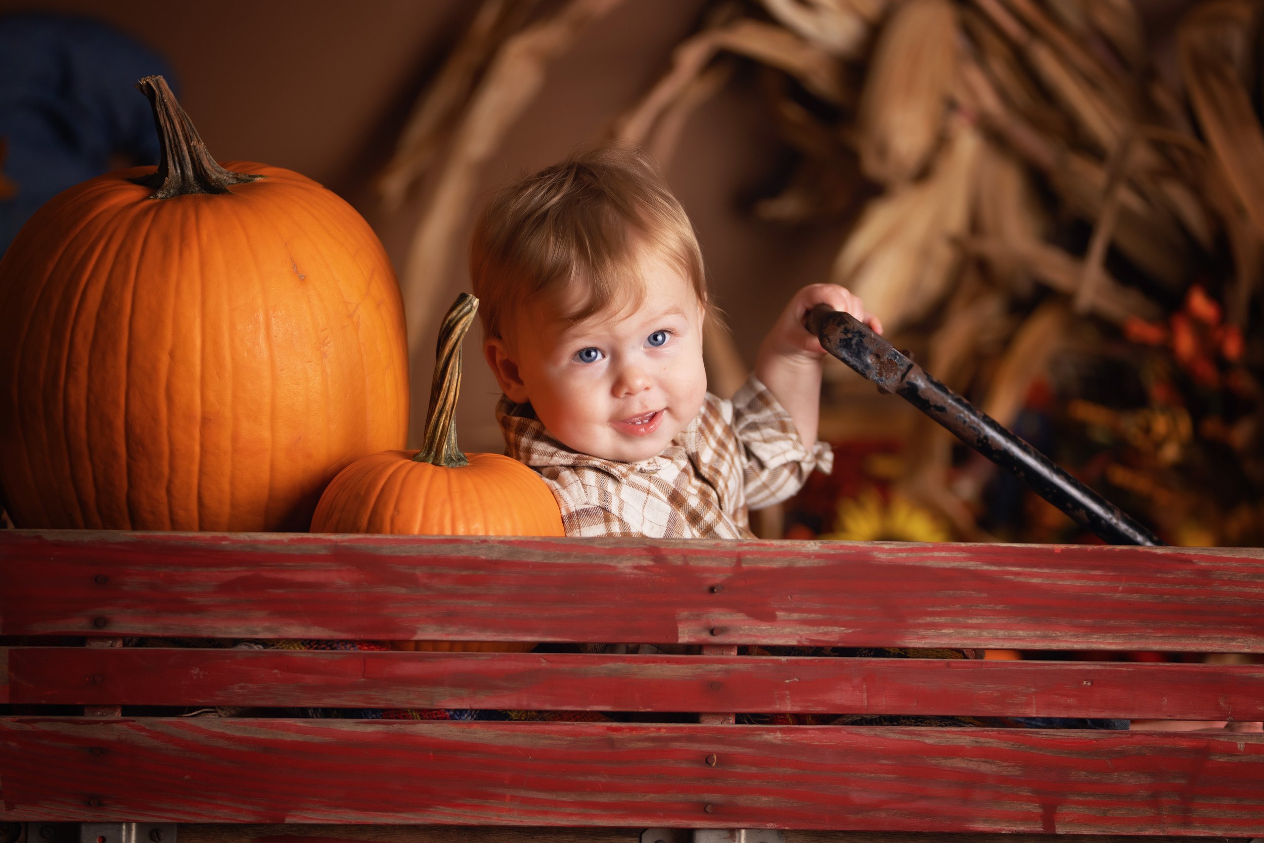 Pumpkin Patch portrait shown on a keepsake album