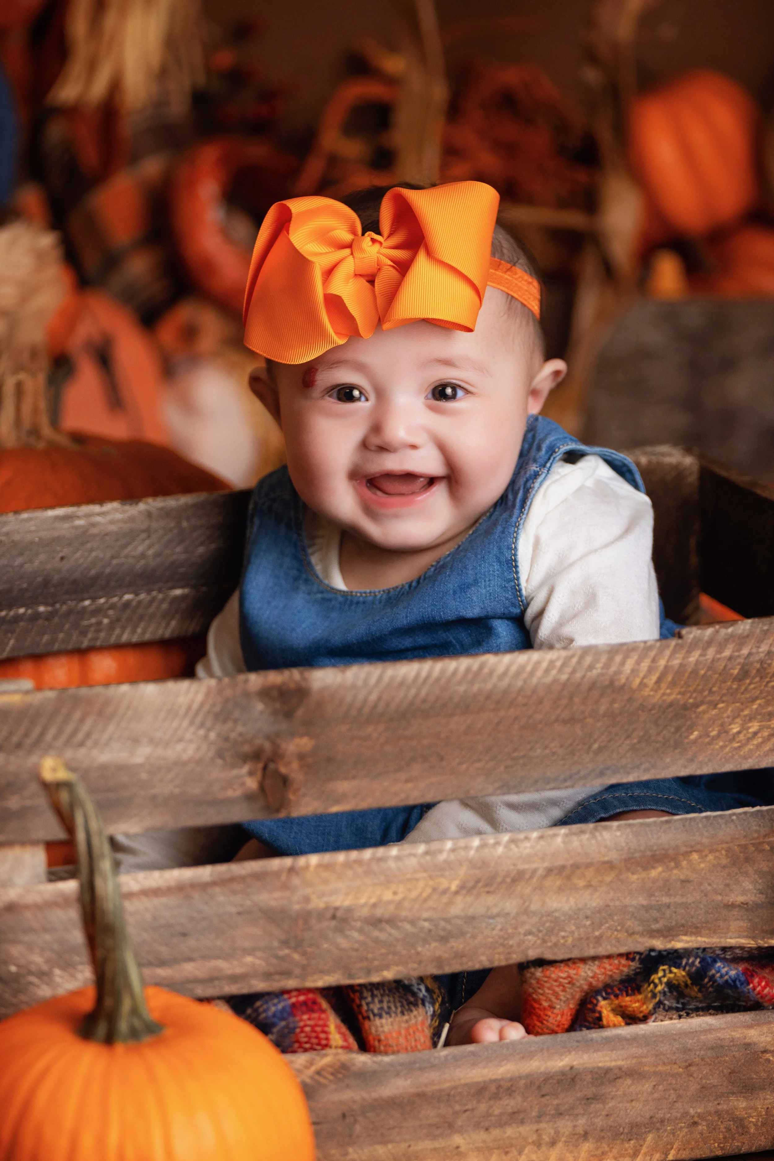 Child smiling during a limited edition pumpkin patch portrait experience