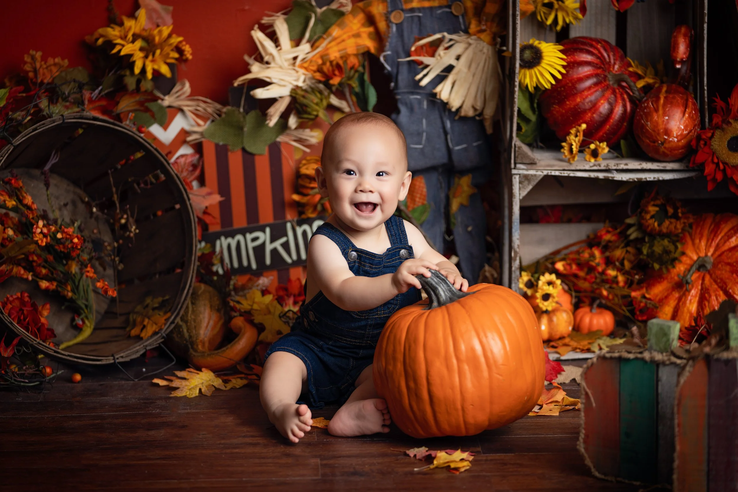Baby milestone portrait 74 by Matt and Shea Photography in Chattanooga