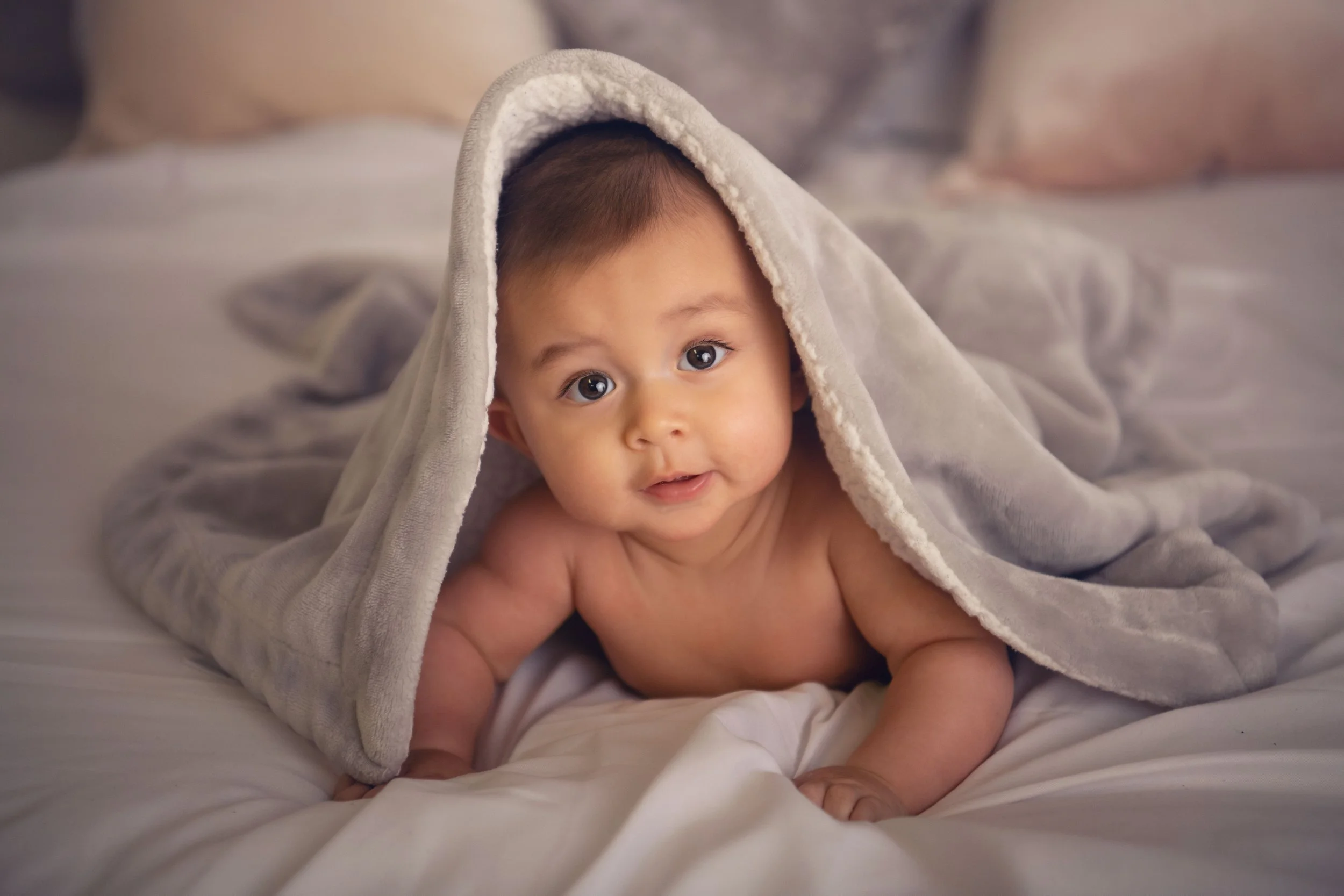 Baby milestone portrait 56 by Matt and Shea Photography in Chattanooga