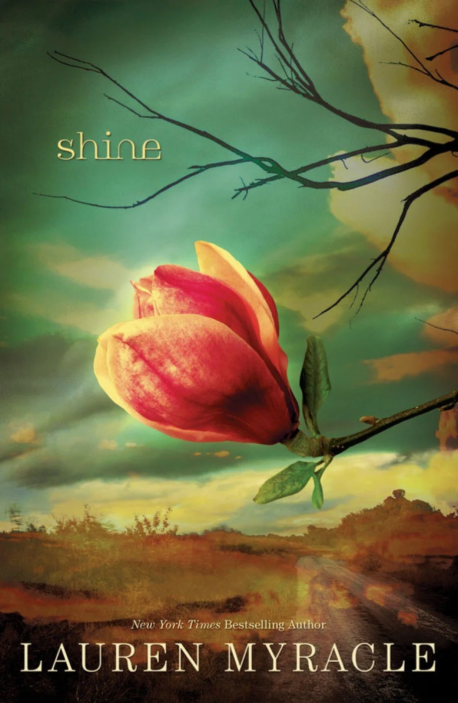 Shine — complete approved book jacket