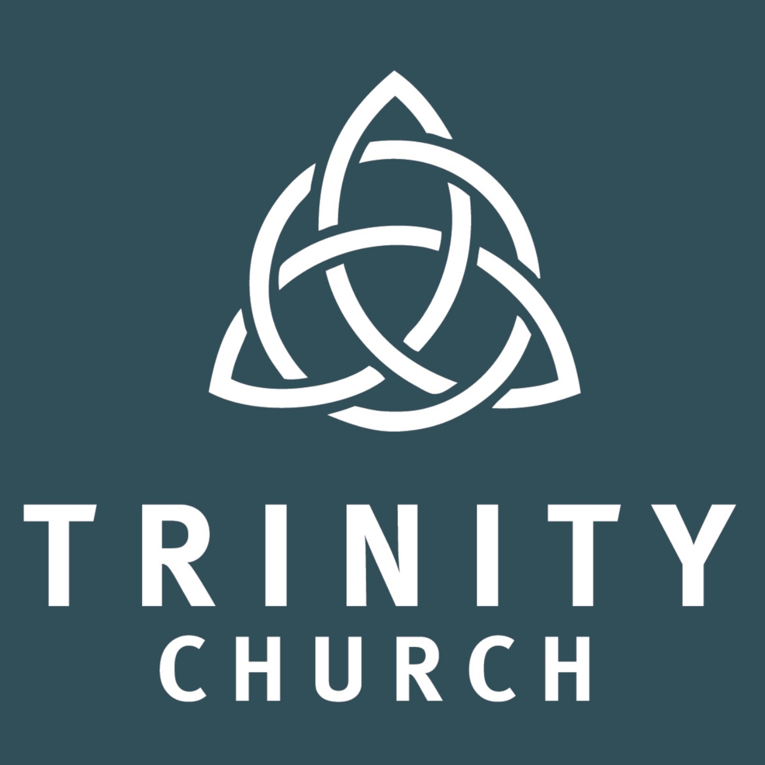 The Creation of a Ministering Community Part 2: A Legion of Demons; a Herd of Swine