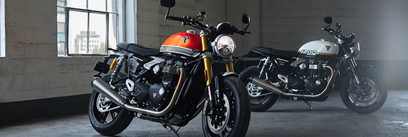 2025 Triumph Speed Twin