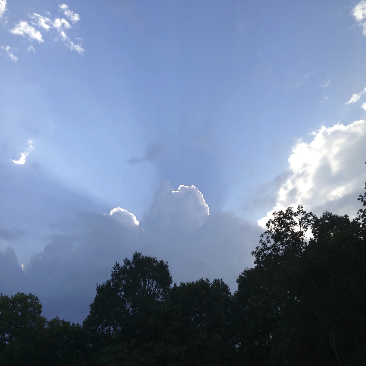 Sermons - Hear the Gospel