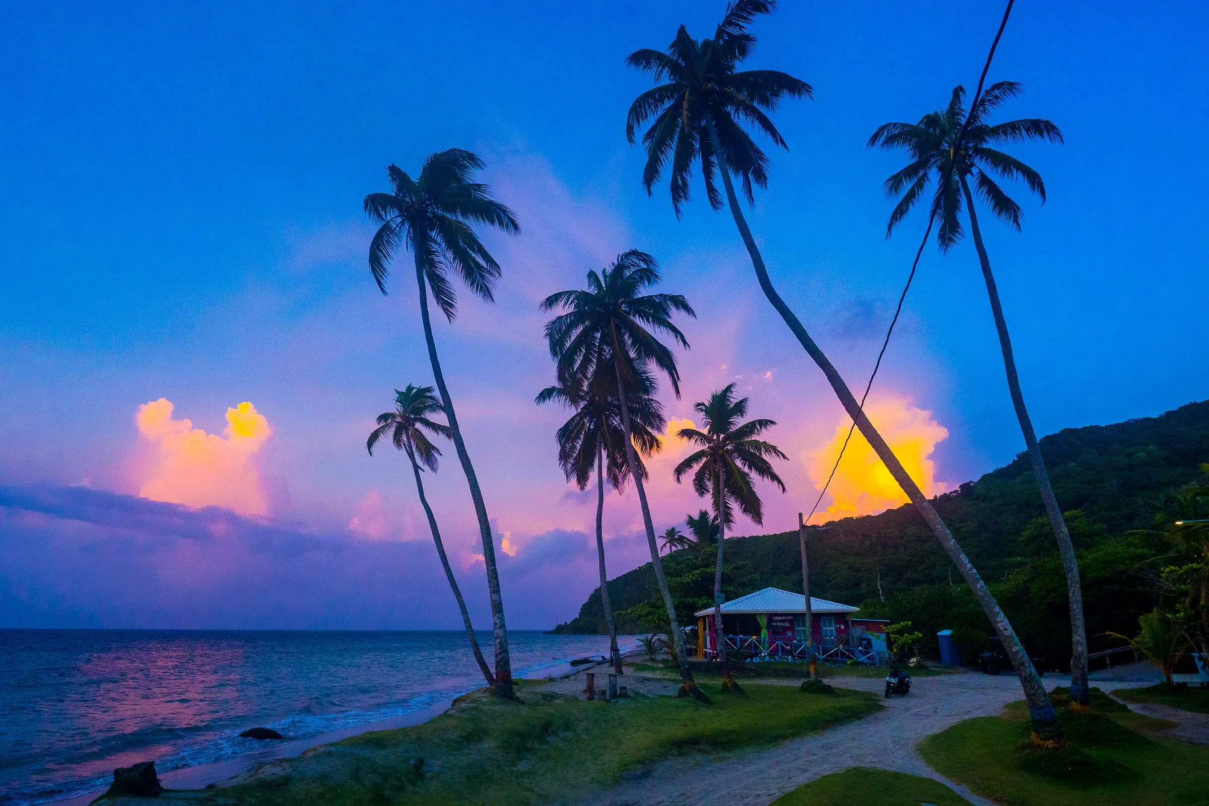 Tall coconut palms silhouette against violet and peach twilight by the beach.