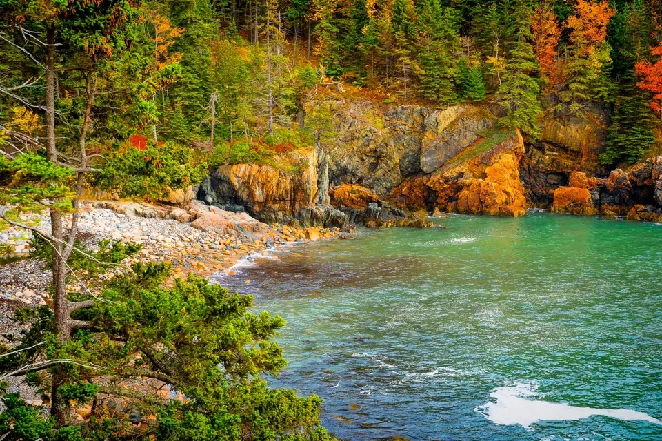 Golden rocky cliffs and forested coast border a sheltered turquoise Acadia cove.