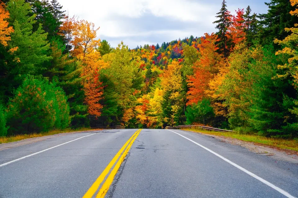 A gray road dips into a dense corridor of blazing red, yellow and evergreen trees in Acadia.