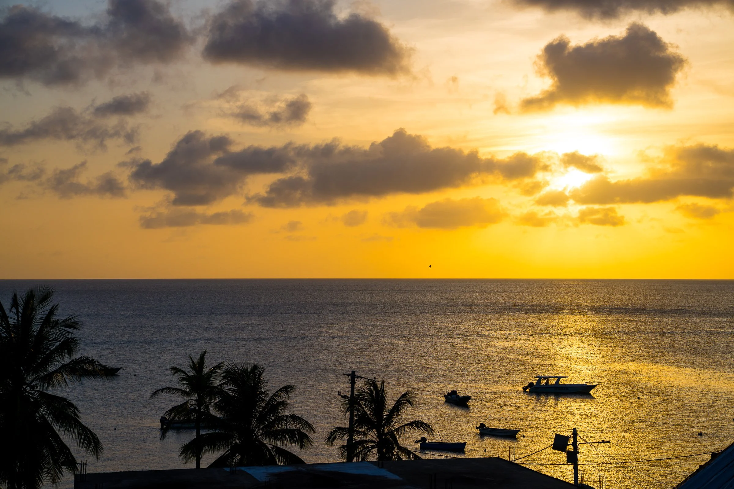 Golden evening reflections spill across the sea with silhouetted palms and small boats.