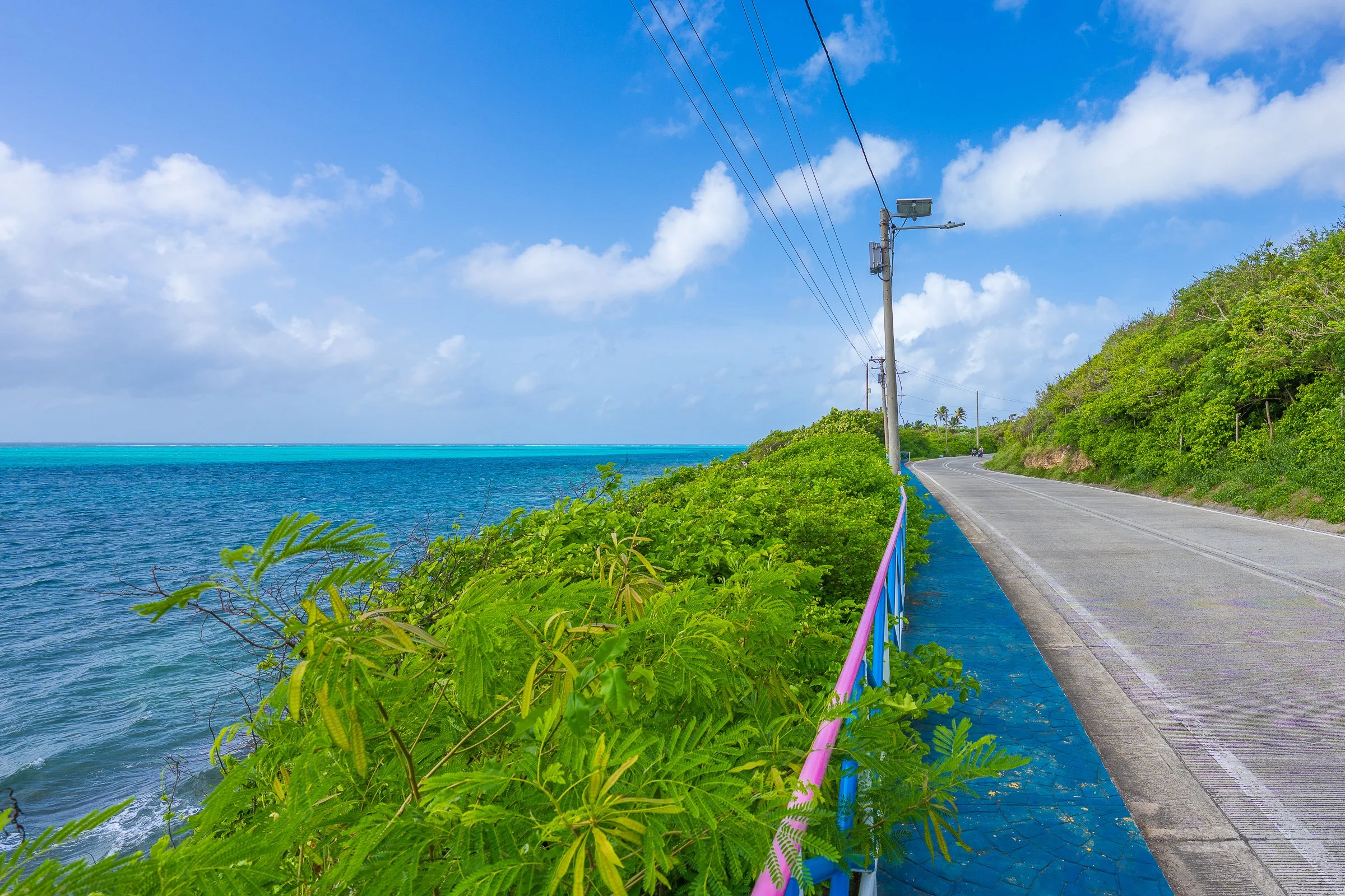 A quiet island coastal road curves beside turquoise water and dense roadside greenery.
