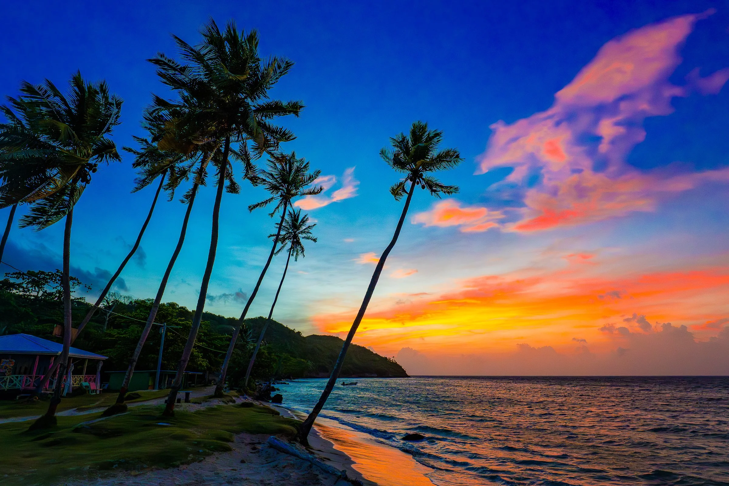 Leaning palms along a shoreline beneath vivid blue, pink and orange Caribbean twilight.