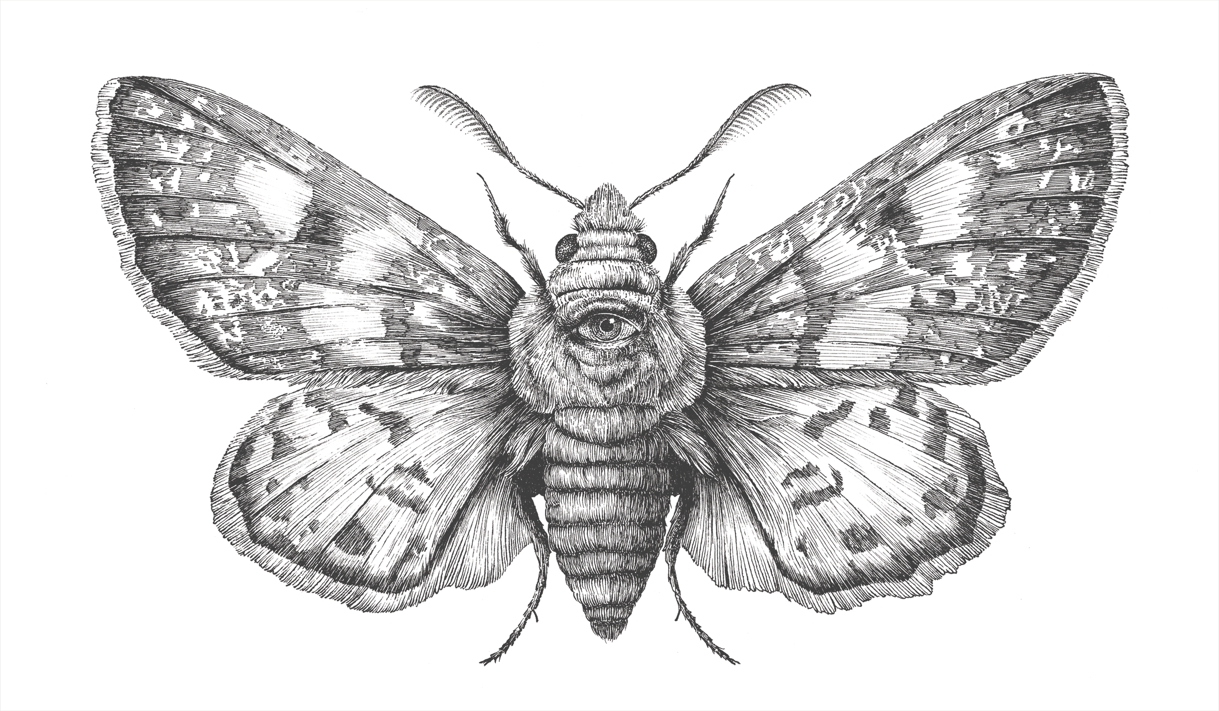Artwork two