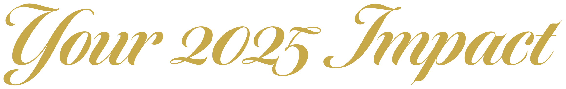 Your 2025 Impact