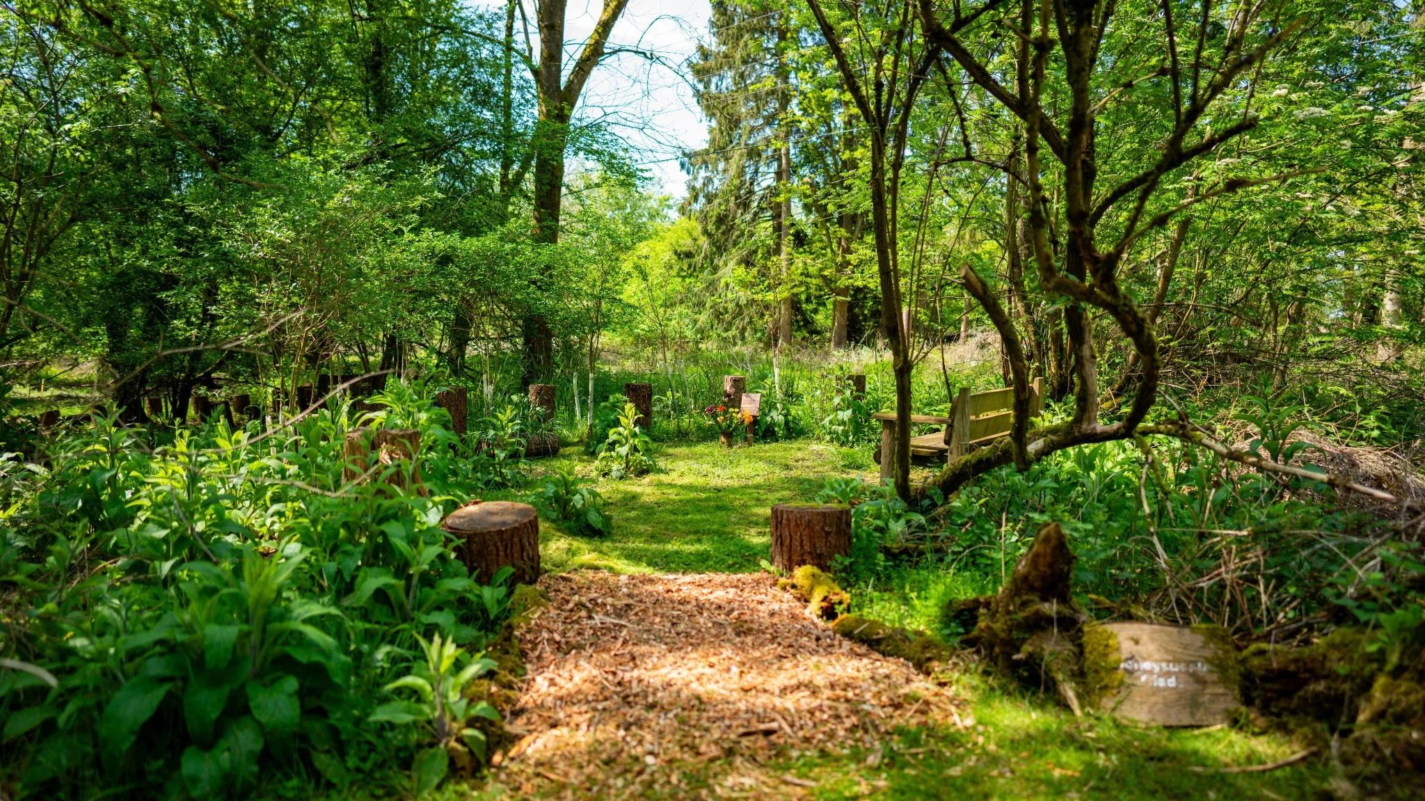 Woodland remembrance area at GreenAcres Chiltern Park with trees and natural planting