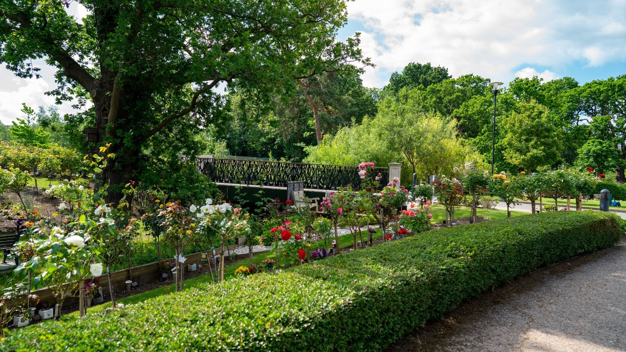 The landscaped Rose Garden at GreenAcres Kemnal Park