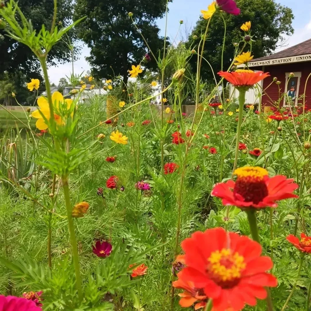 Arts Depot Garden