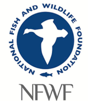 National Fish and Wildlife Foundation