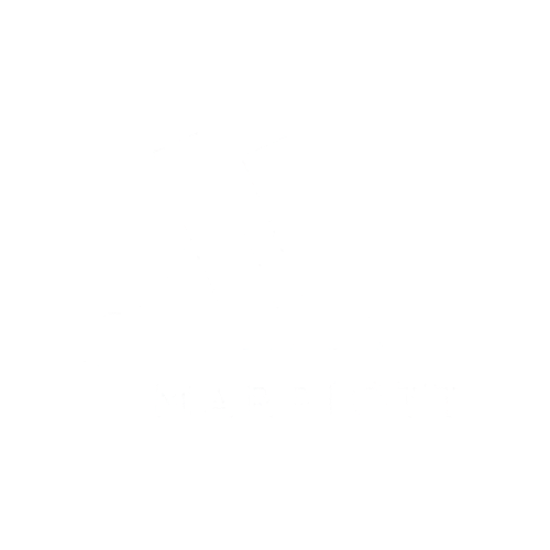 Company Logo 2