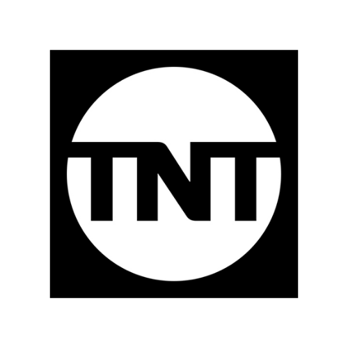 Company Logo 8