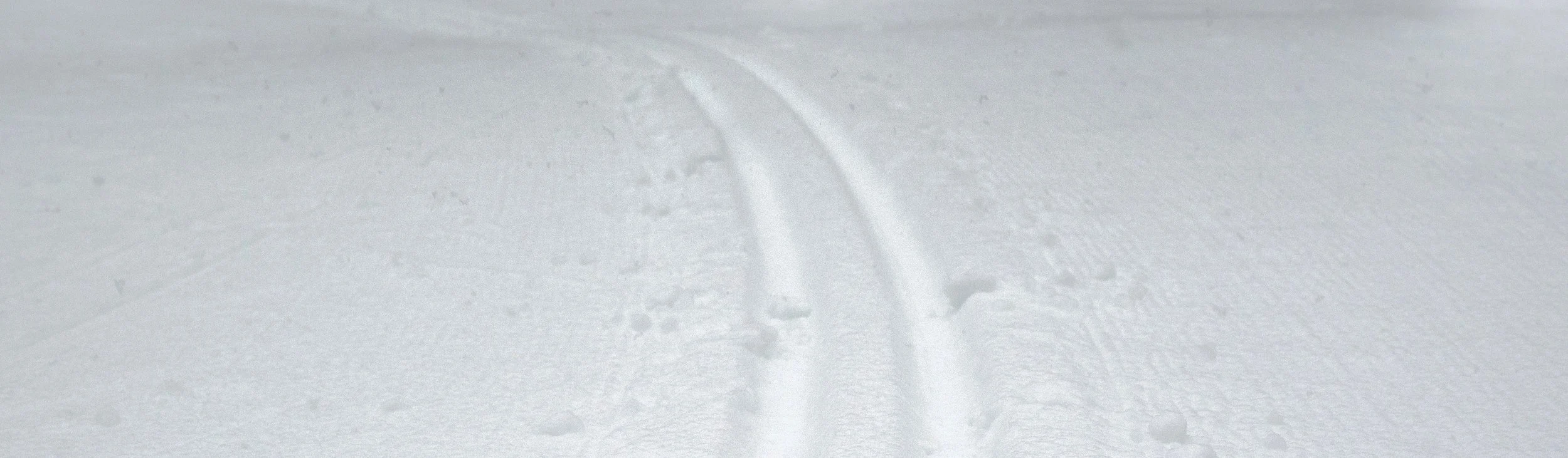 Biathlon Saskatchewan Bylaws