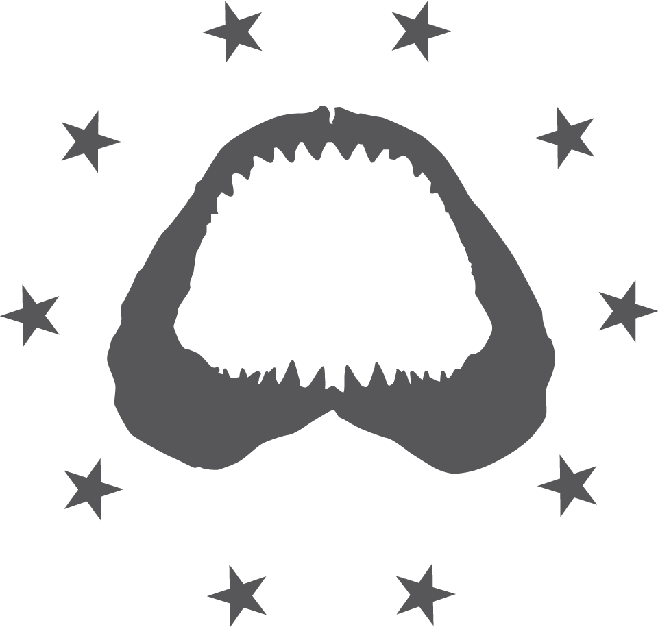 startupshark