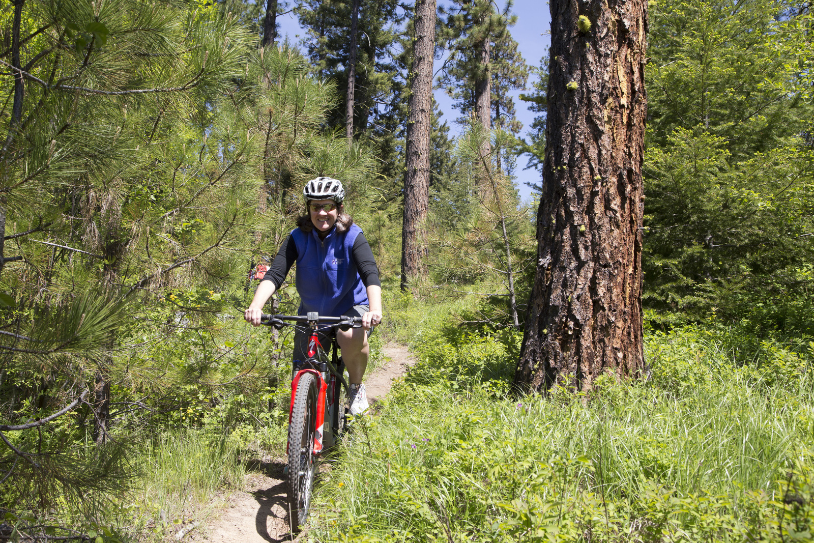 A cyclist rides through the forest in the Central Cascades in Washington state