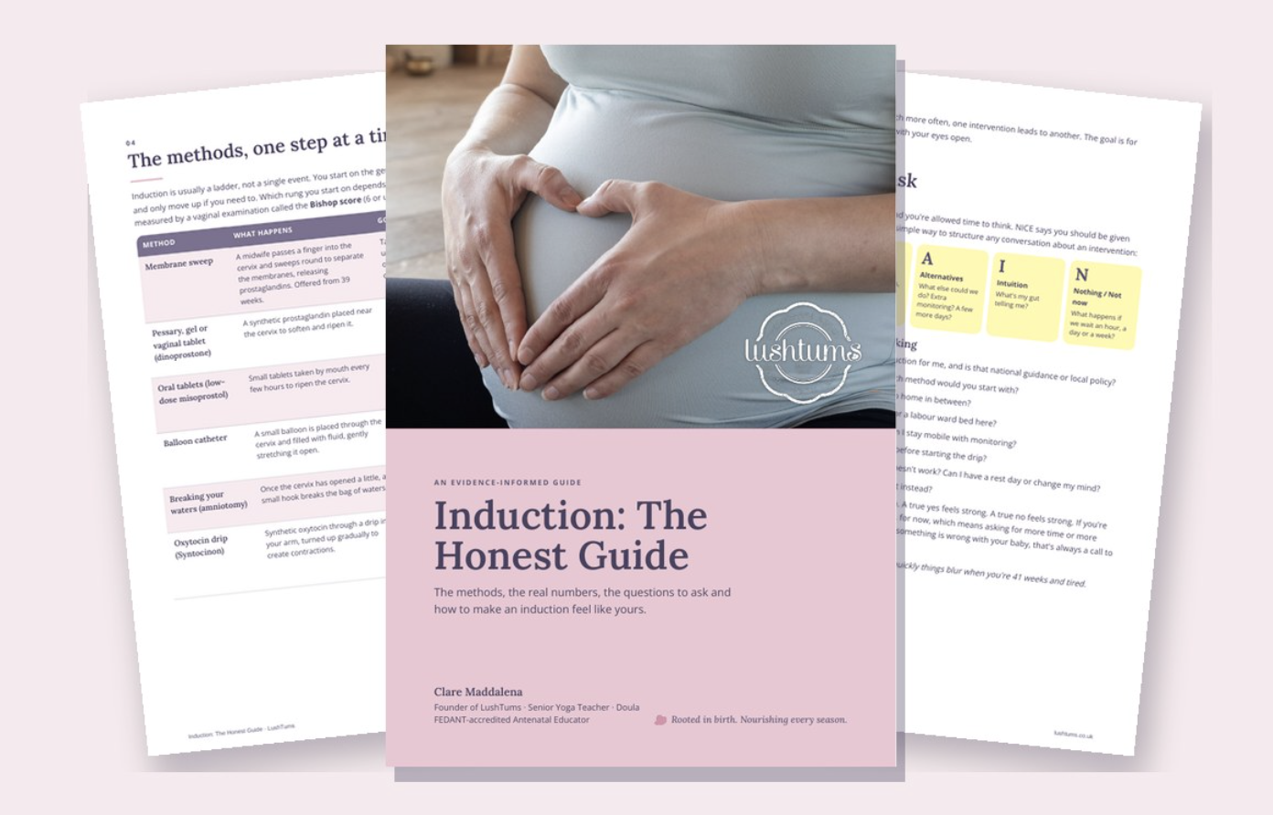 Pages from Induction: The Honest Guide, showing the cover, the methods table and the questions to ask