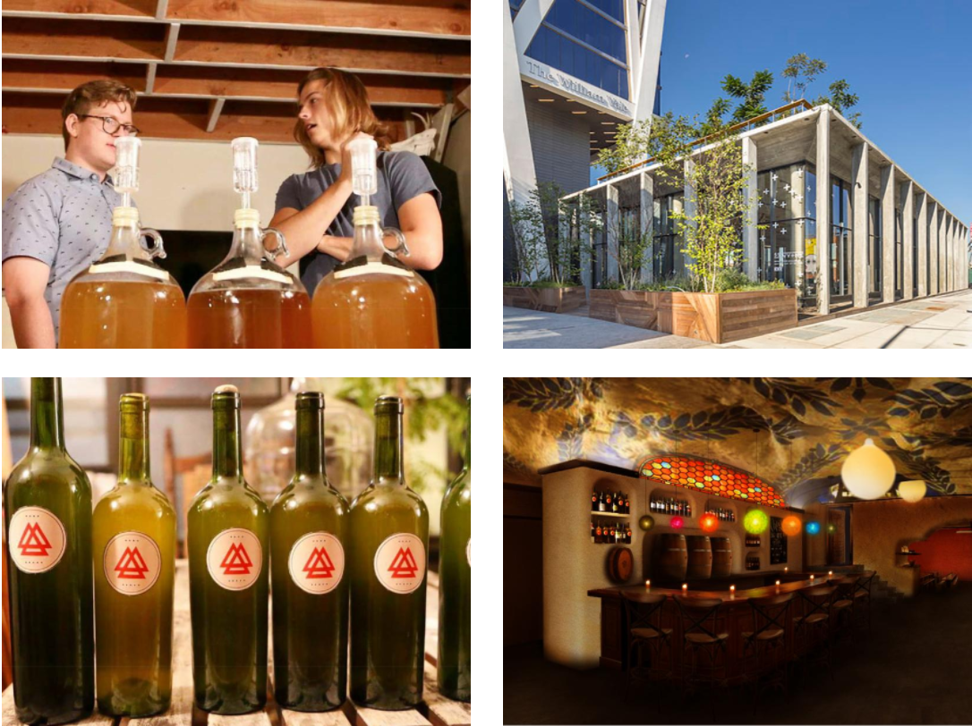 all wise meadery net worth
