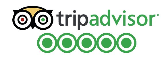 5 Star Review - TripAdvisor 