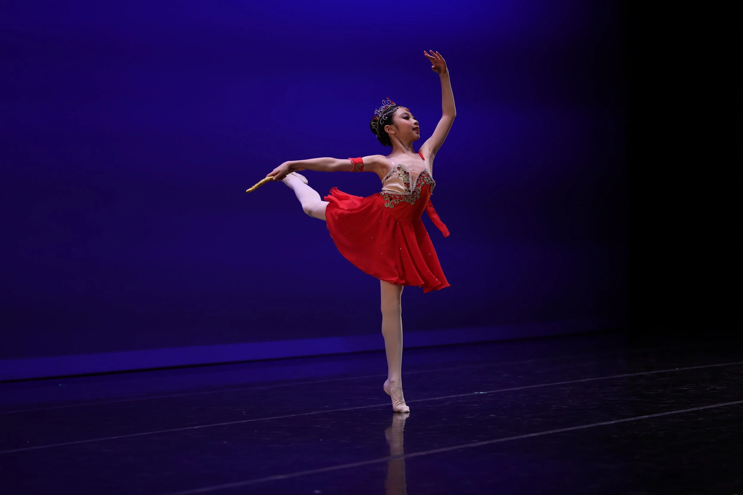 Columbia Youth Ballet dancers in costume performing during annual ballet production
