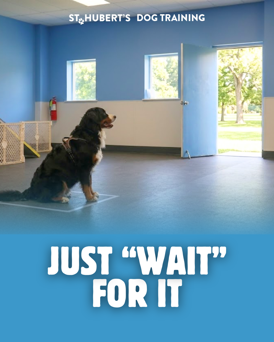 Just Wait for It class image