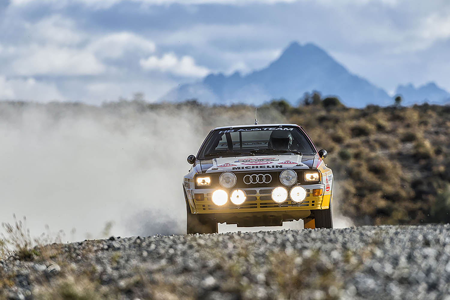Audi 80 quattro ралли