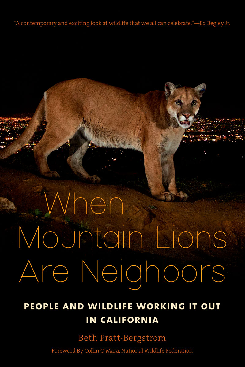 Читать neighbors. California Mountain Lion. Mountain Lions in California.