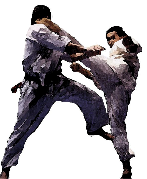 кумите персонаж. бесплатный чат кумите. Kumite обложка. Arawaza татами wkf. кумите 2.