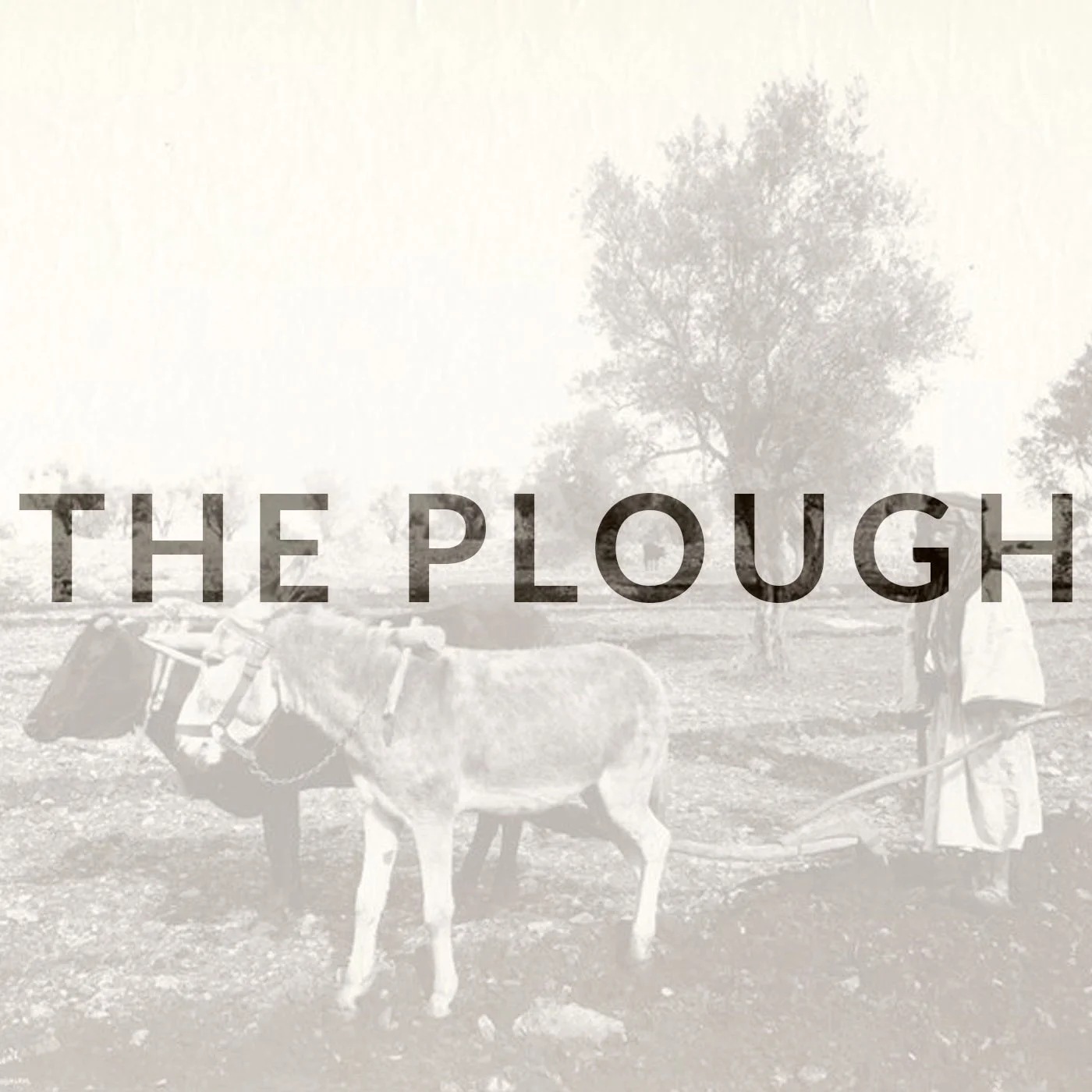 The Plough