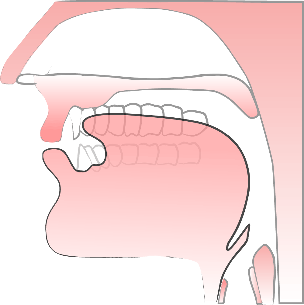 تعلم نطق اللغة العربية الفصحى