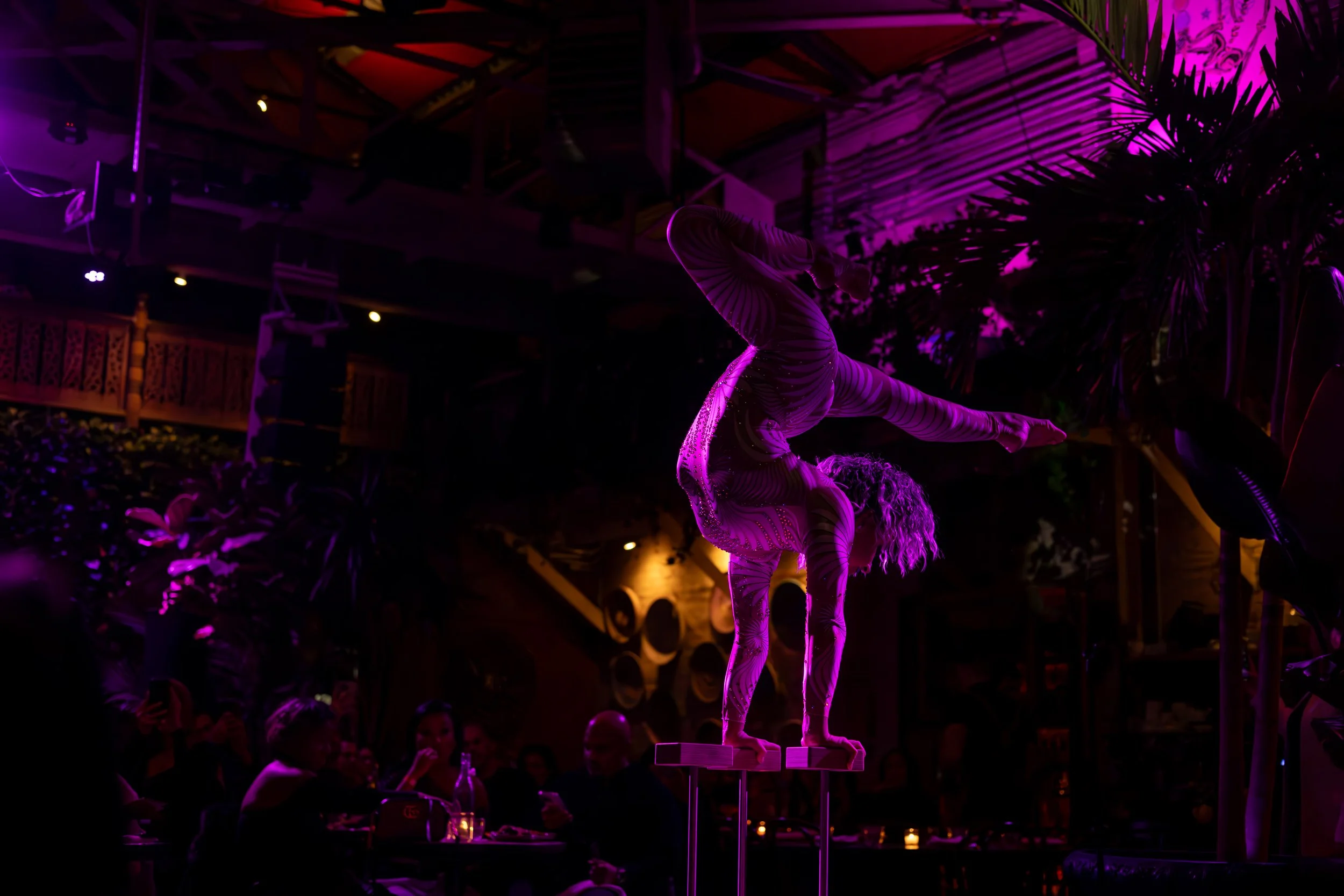 Hand balancing and contortion performance by Allison Schieler