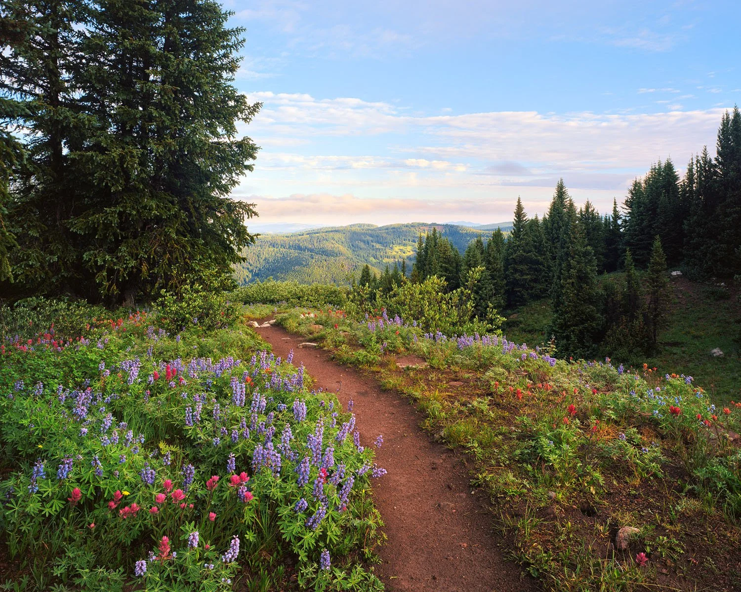 ликийская тропа пейзажи. тропа алекс. фото горных пейзажей профессиональных фотографов. алекса лунная тропа. горная тропинка.