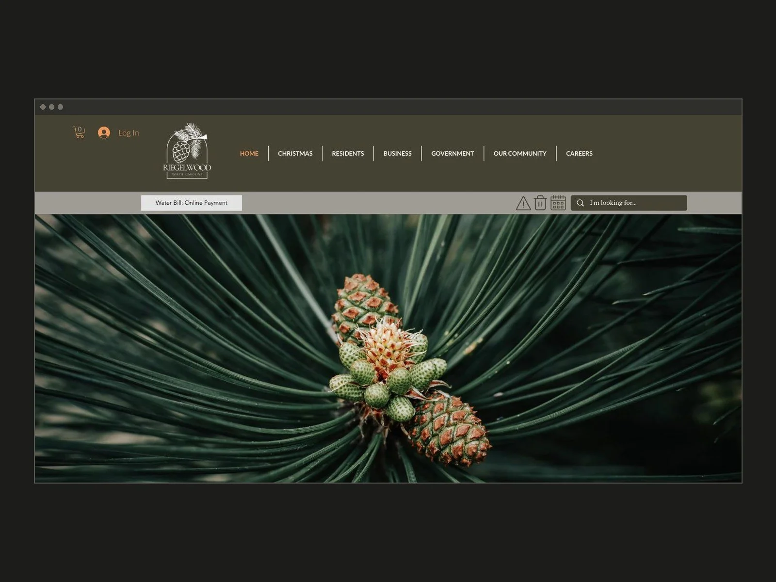 Village of Riegelwood website