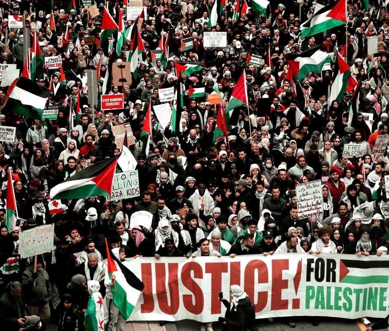 Support Palestinian Youth Organizing!