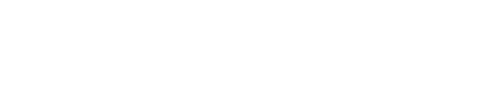 Speedo