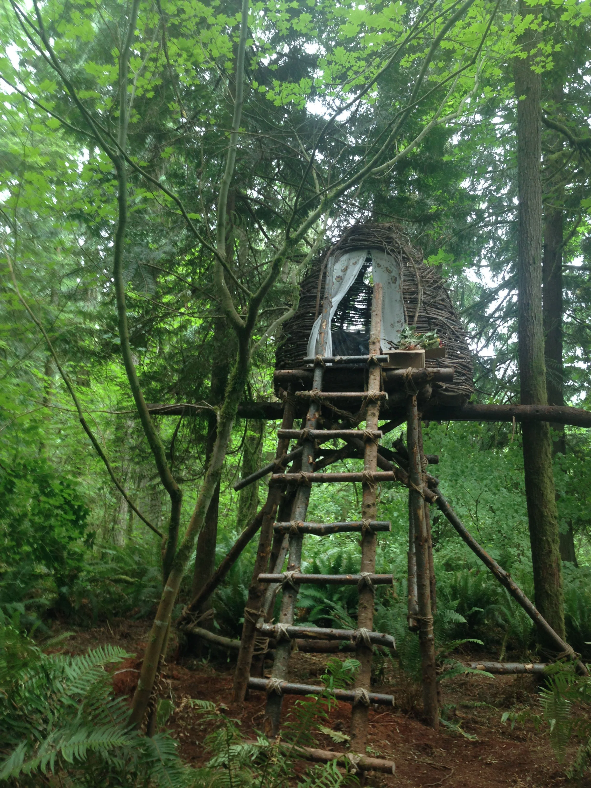 Zaja's hut