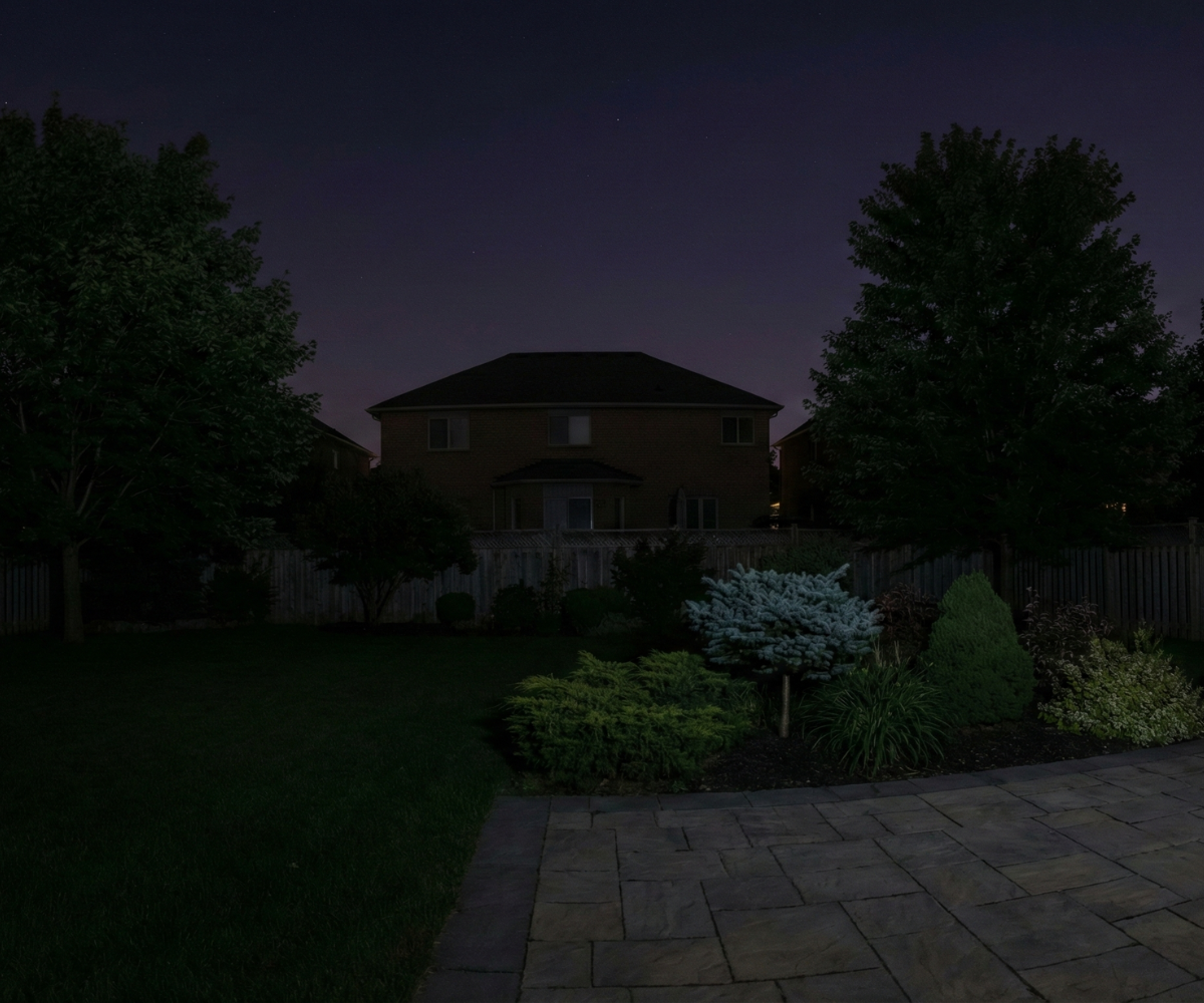 Dark backyard at night