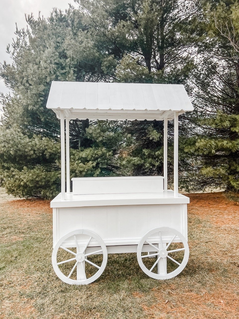 Carts