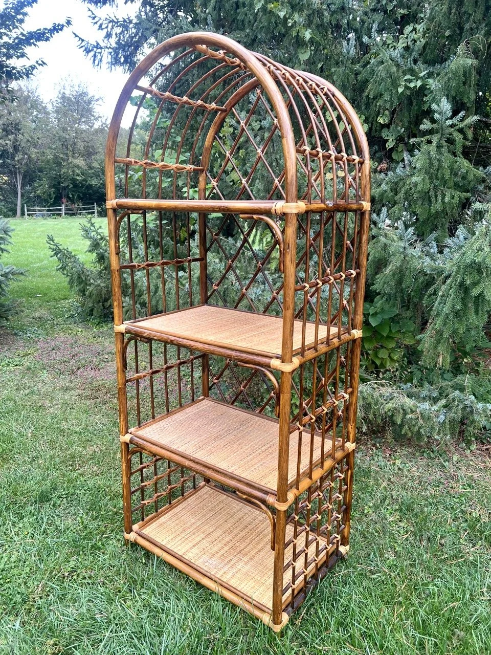 Cart and Display Shelf Rentals