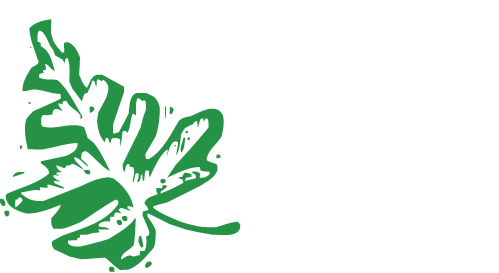 Happy Campers Academy logo